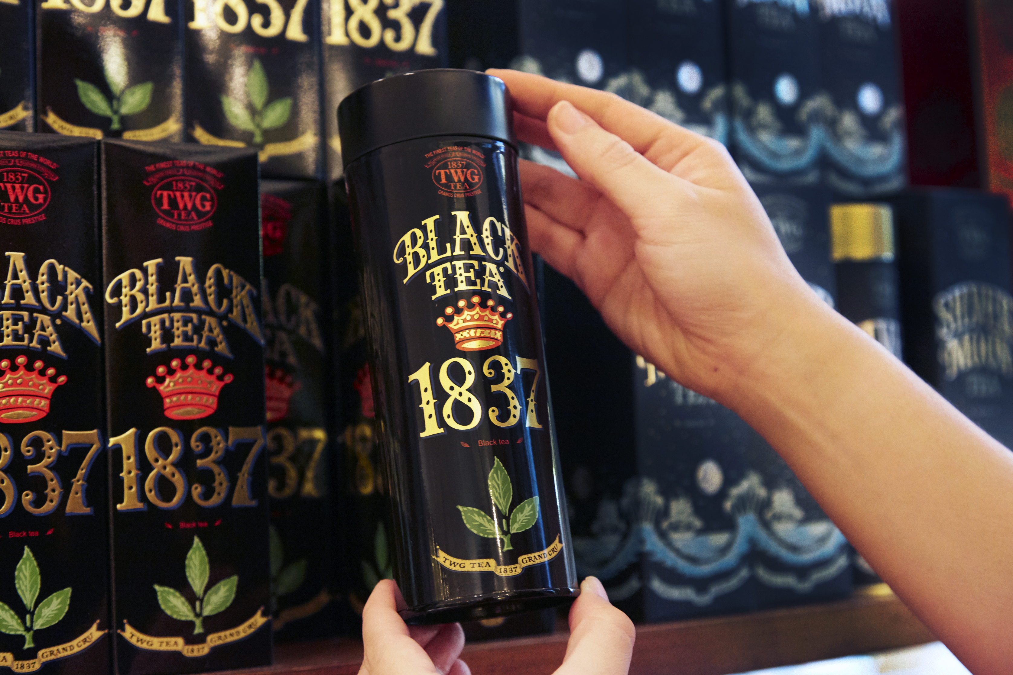 World Of TWG | TWG Tea