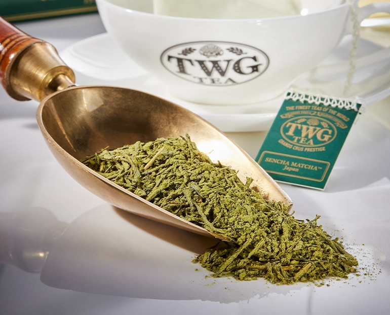 TWG ホワイトスカイティー & セン茶抹茶 TWG Tea」の数量限定ホワイトスカイティーで、極上のティータイムを | LEE