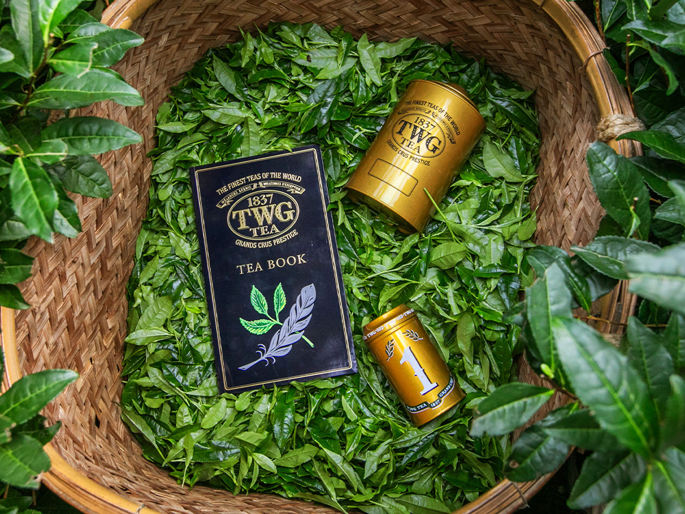 A Travelogue- Behind Hon-Gyukuro | TWG Tea