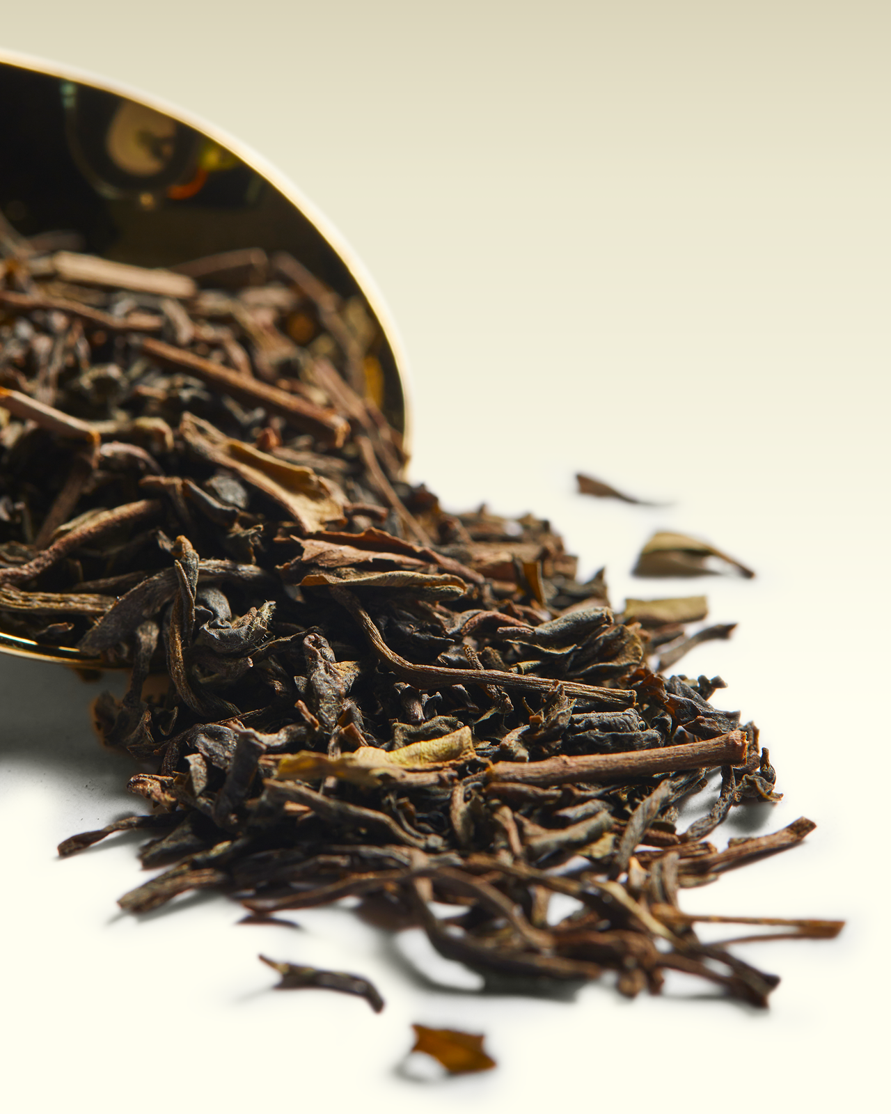 Manjhee Valley SFTGFOP1 | TWG Tea