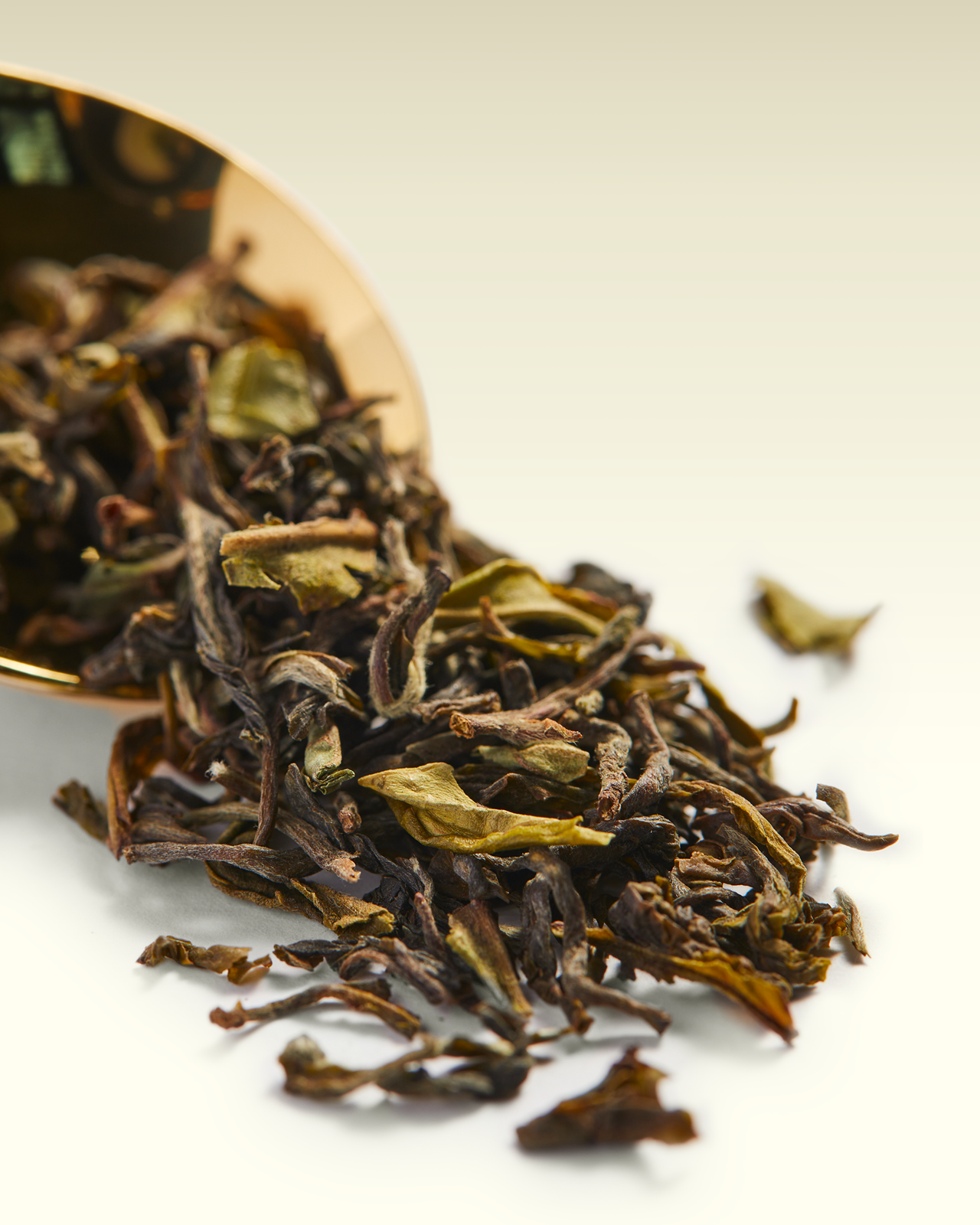 Okayti FTGFOP1 | TWG Tea