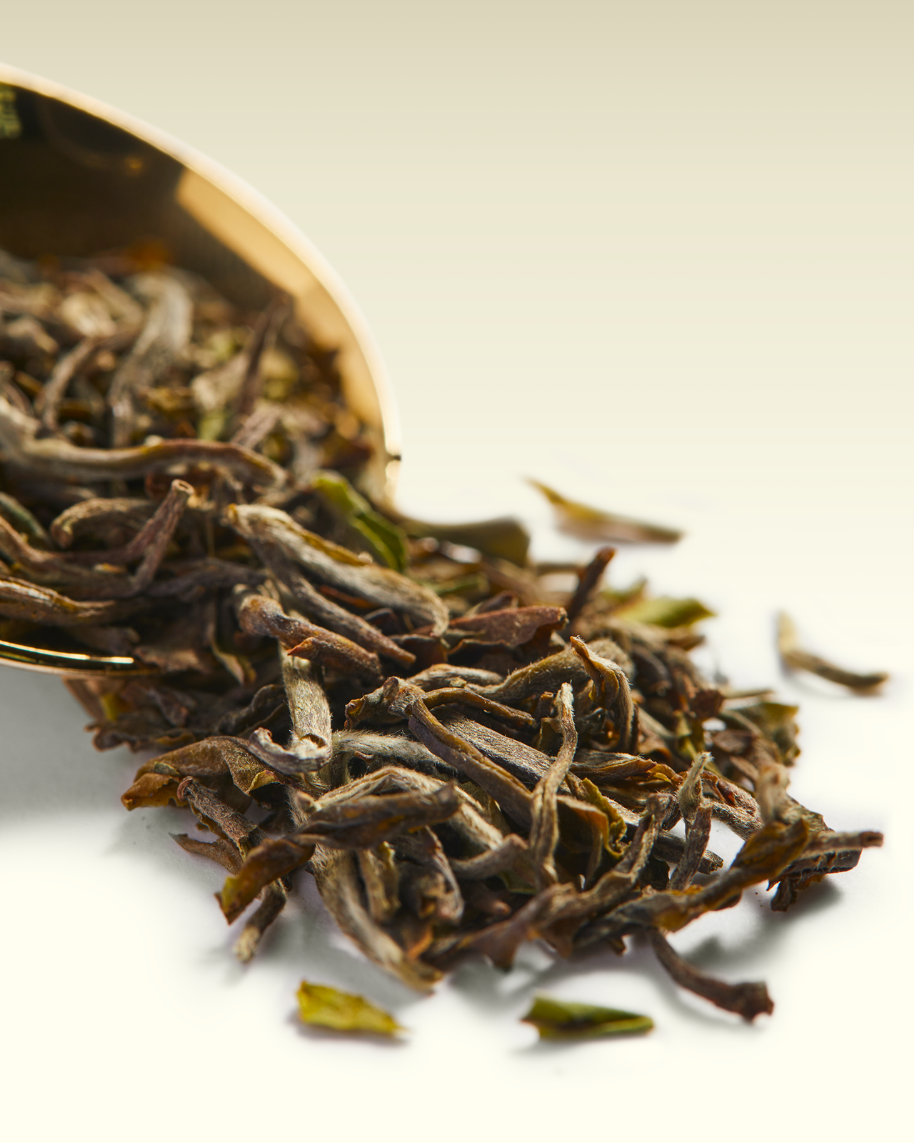 Thurbo FTGFOP1 | TWG Tea