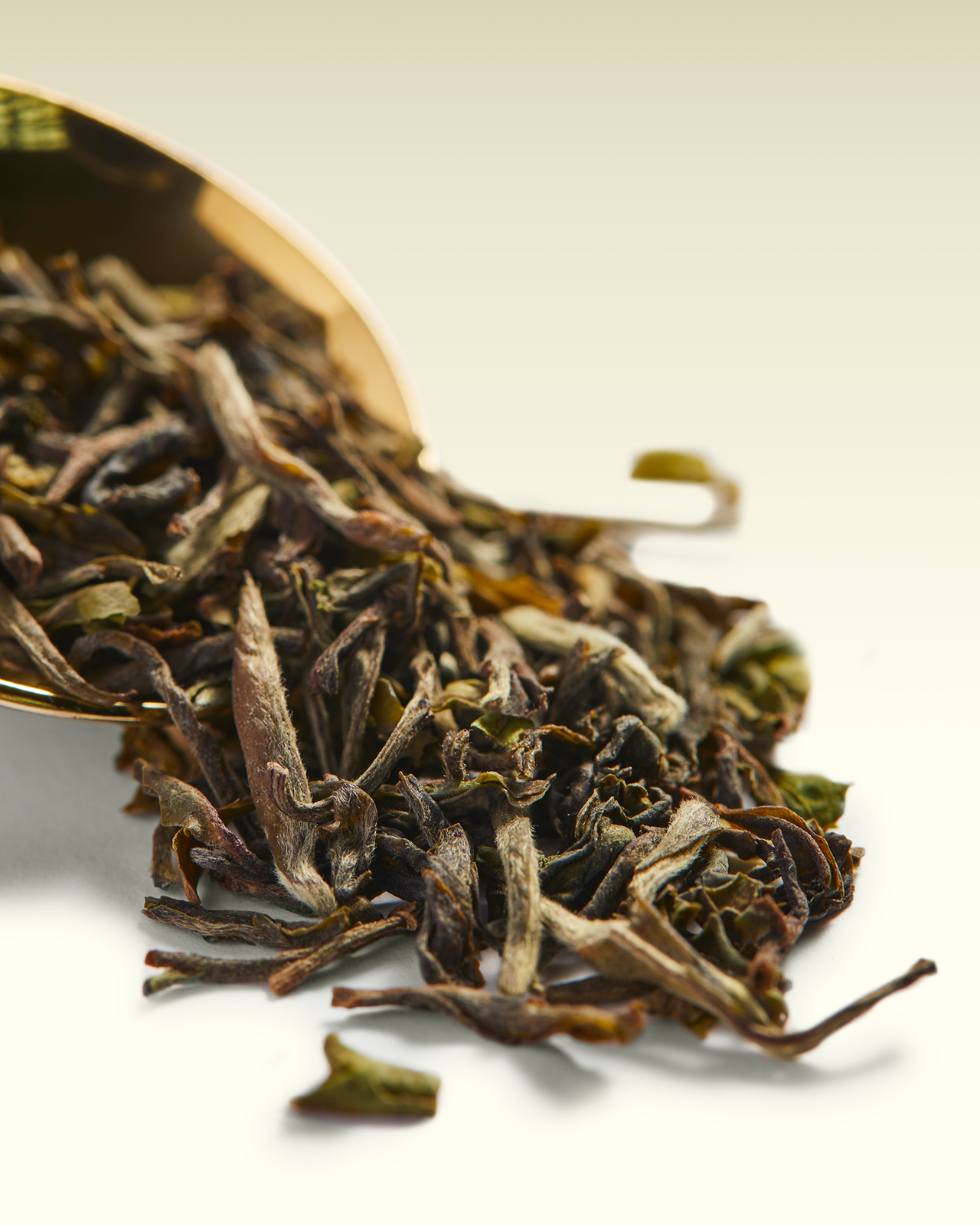 Okayti Excellence SFTGFOP1 | TWG Tea