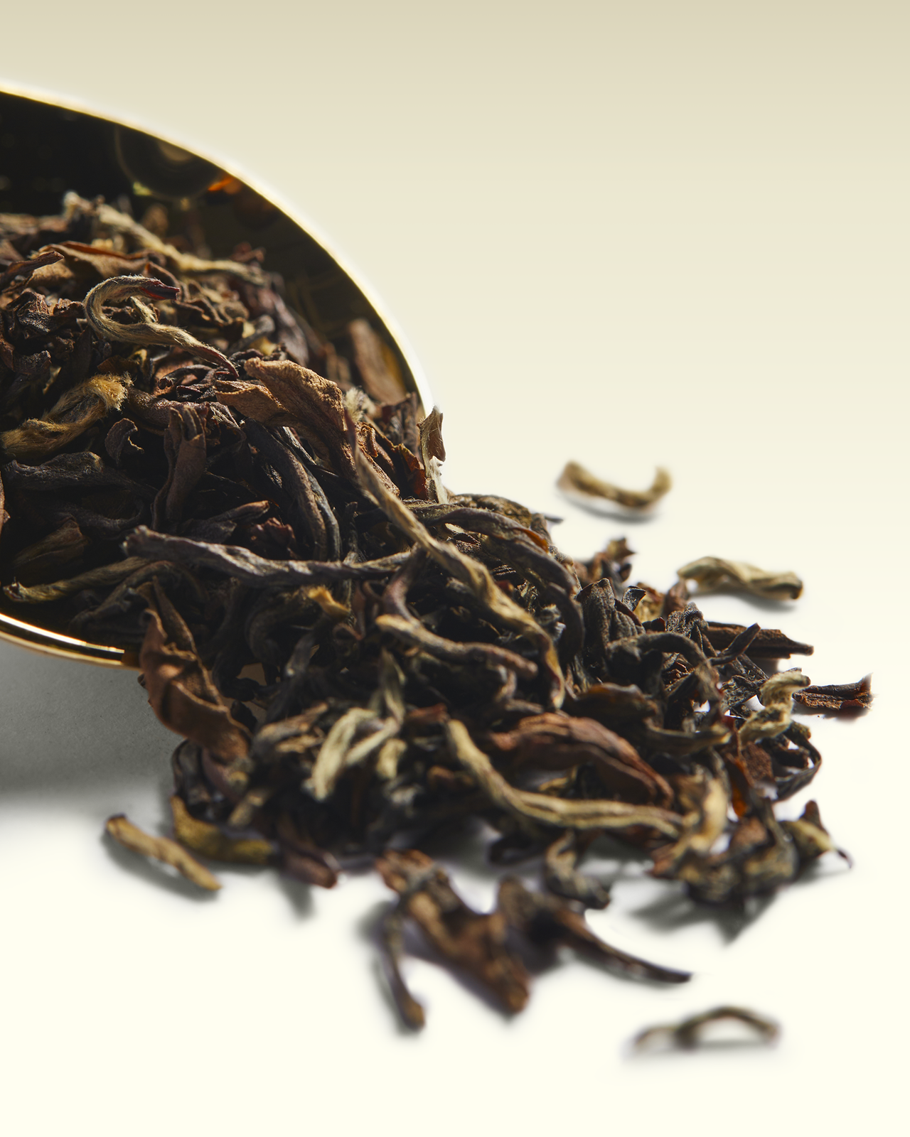 Maloom FTGFOP1 | TWG Tea