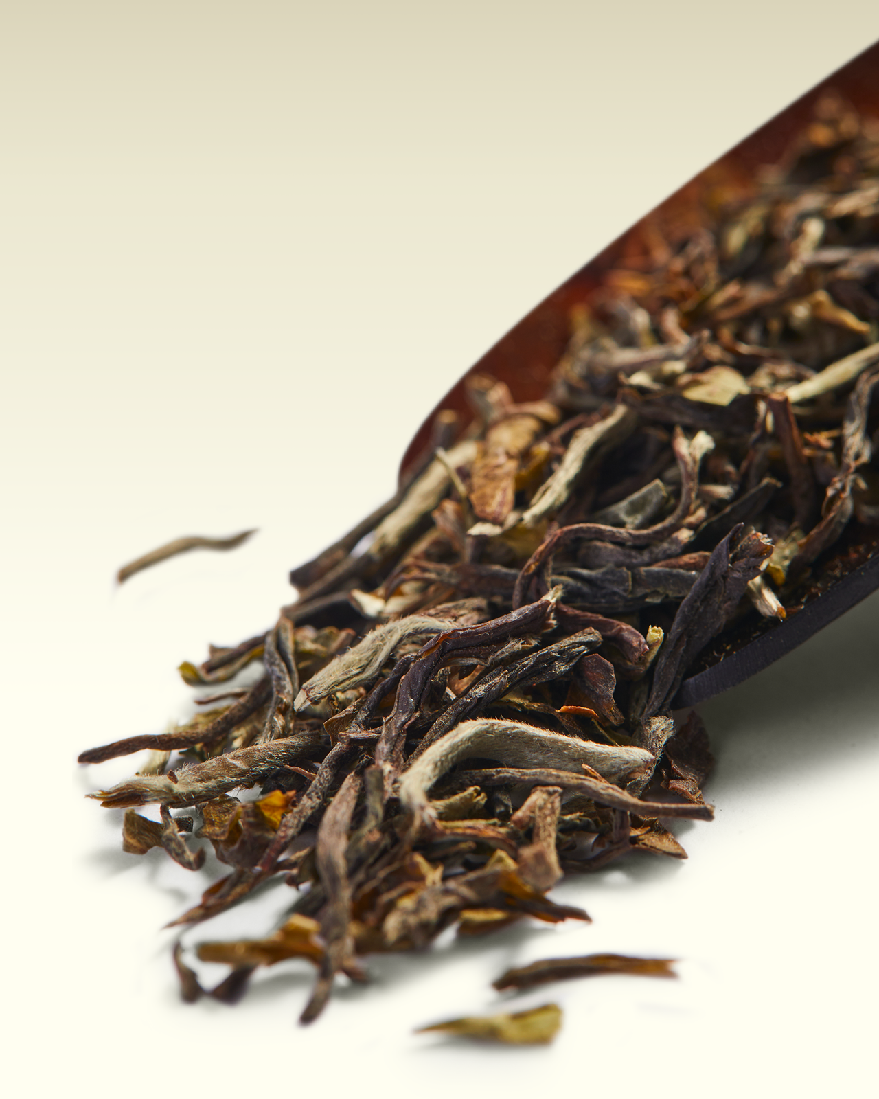 Namring SFTGFOP1 | TWG Tea