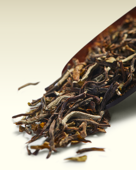 Darjeeling Collection | TWG Tea