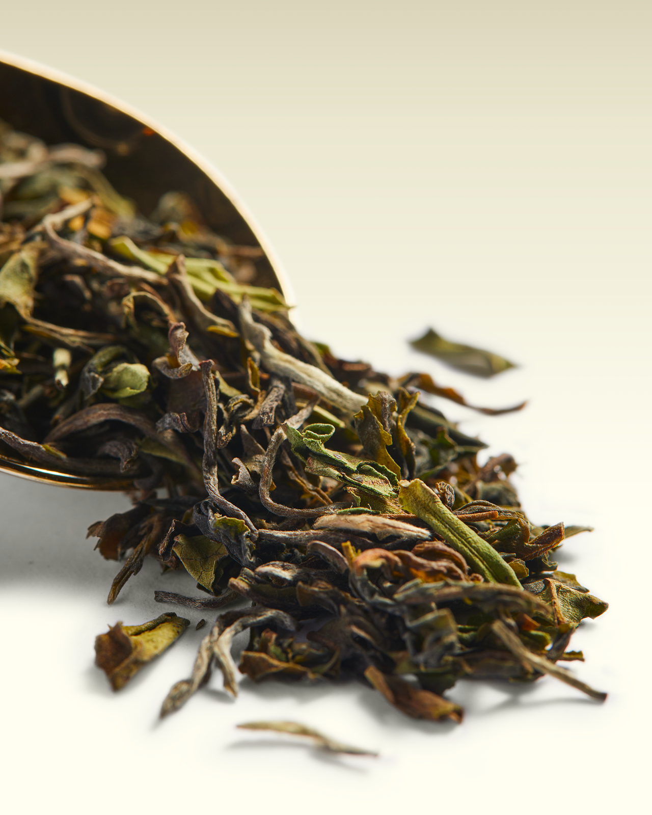 Singbulli SFTGFOP1 | TWG Tea