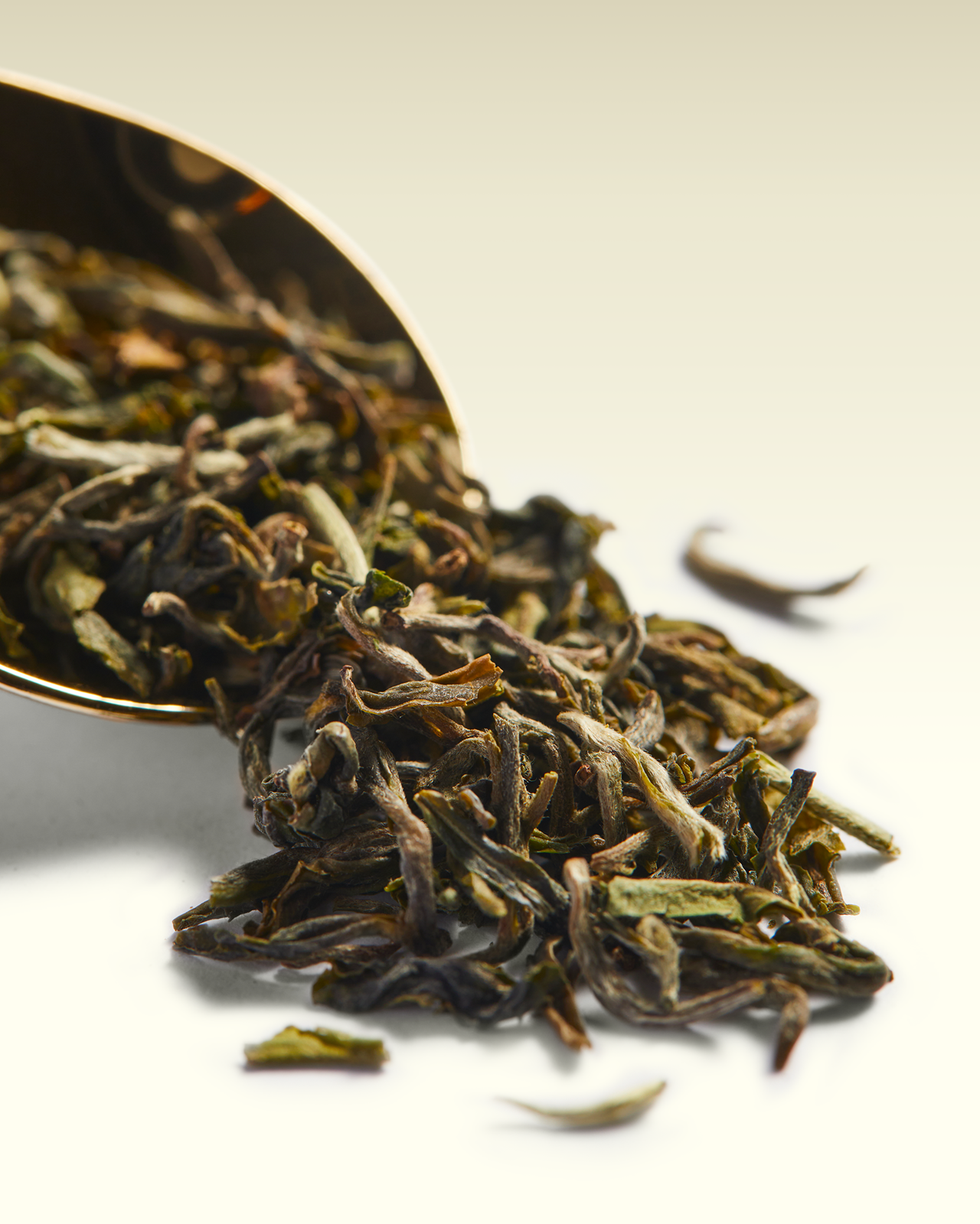 Orange Valley SFTGFOP1 | TWG Tea