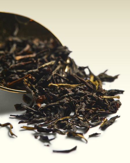 Chocolate Earl Grey | TWG Tea