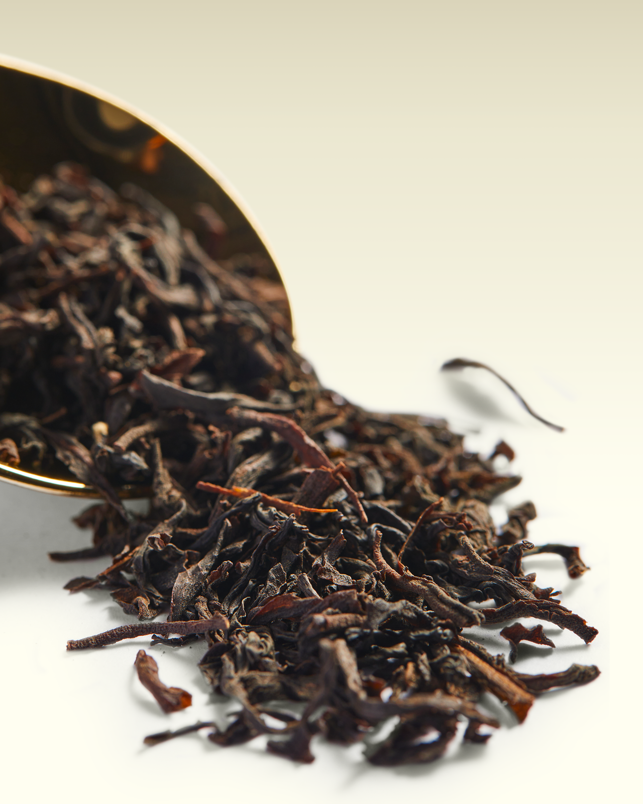 Kenilworth OP1 | TWG Tea