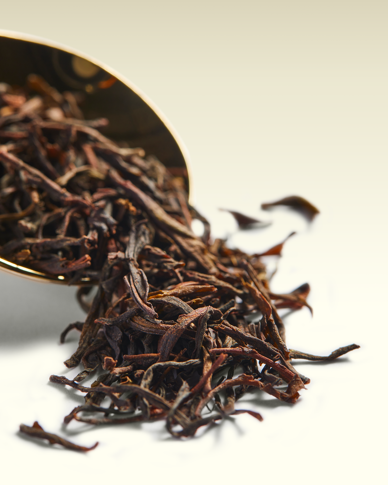 Maha Gastotte OP1 | TWG Tea