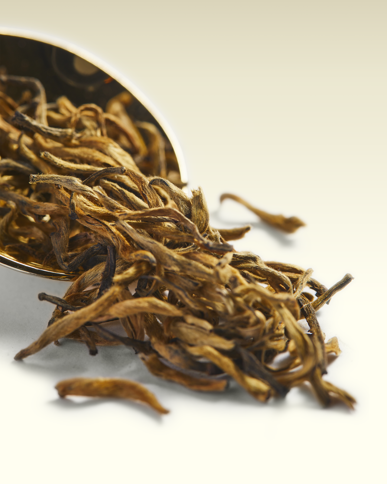 Gold Darjeeling | TWG Tea