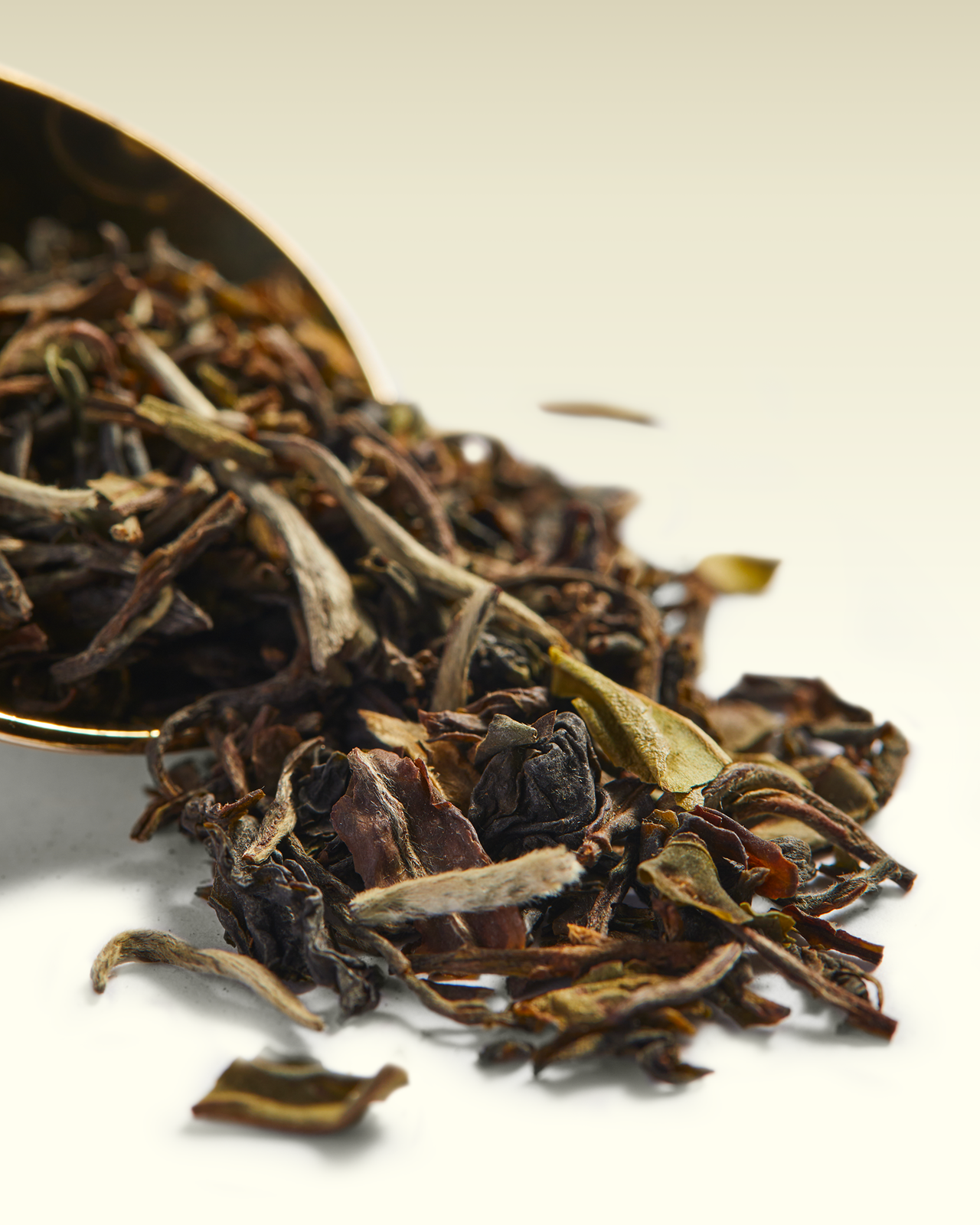 Darjeeling Supreme | TWG Tea