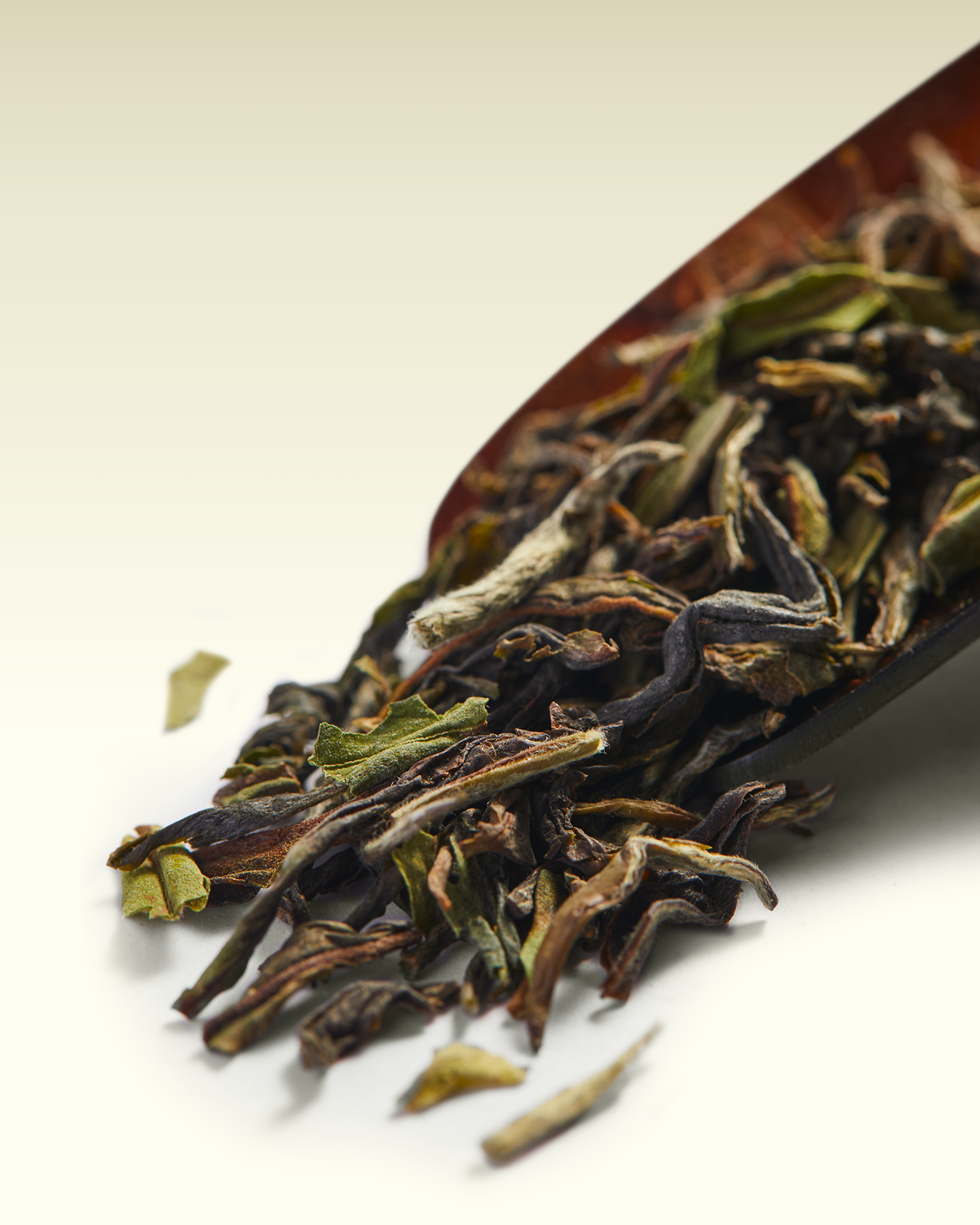Namring Upper FTGFOP1 | TWG Tea