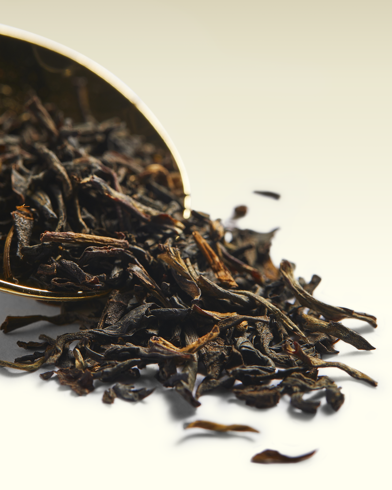 Harmutty SFTGFOP1 | TWG Tea