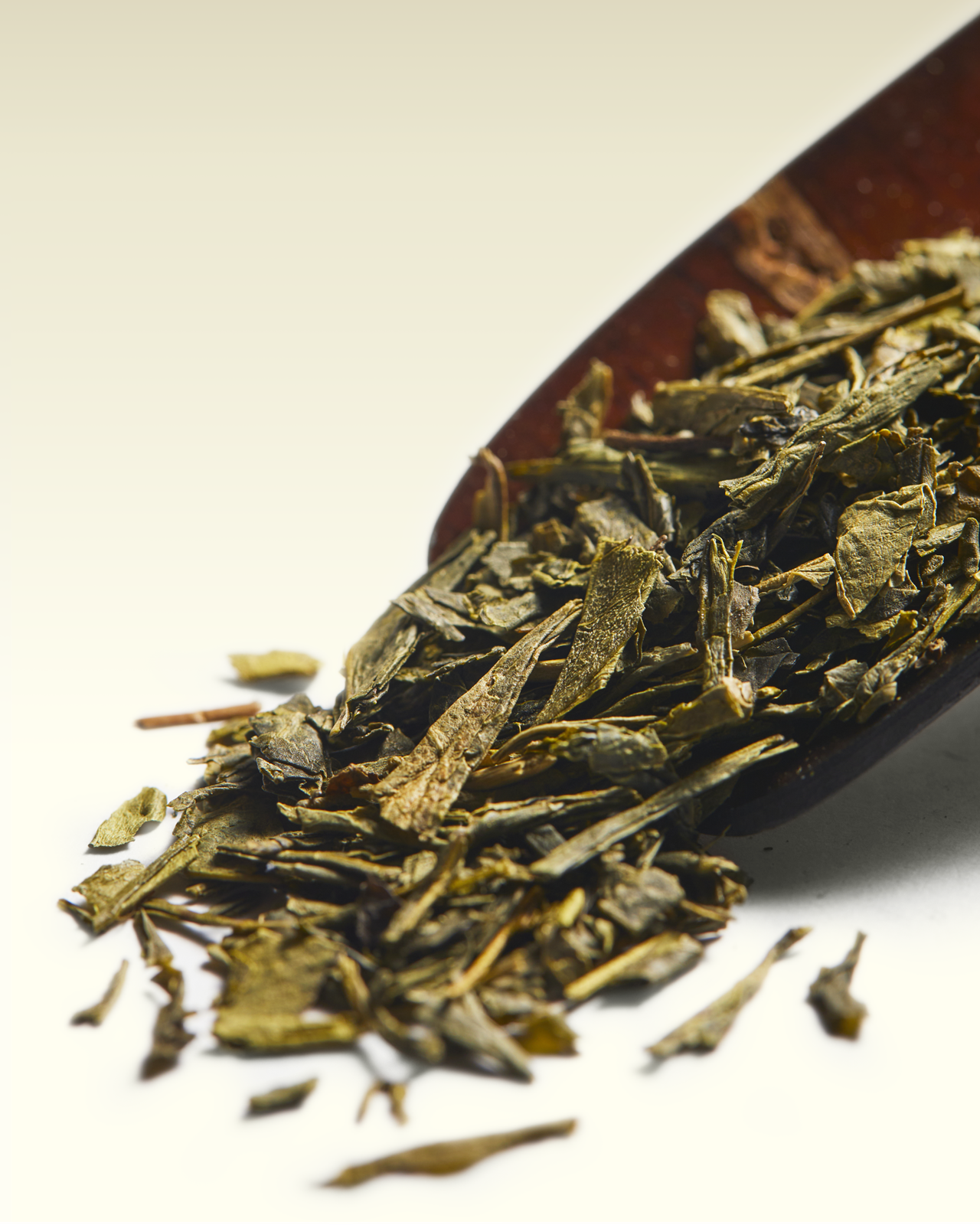 Sencha (China) | TWG Tea