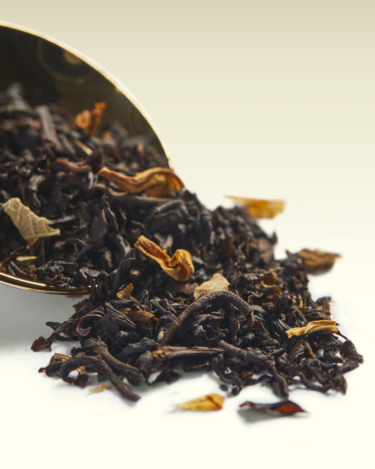 Forest Rain Tea | TWG Tea
