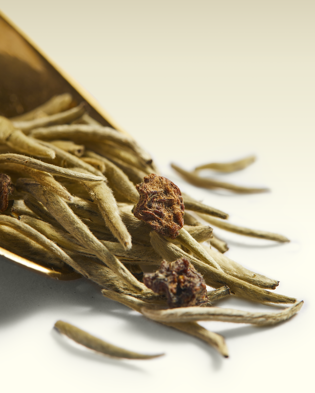 White Immortal Tea | TWG Tea