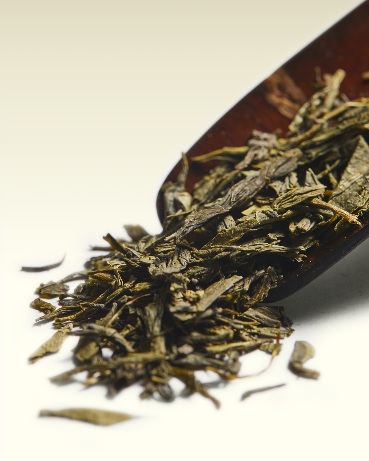 Sencha Superior | TWG Tea