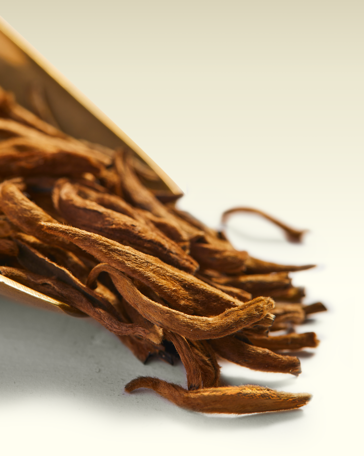 Pu-Erh Prestige | TWG Tea