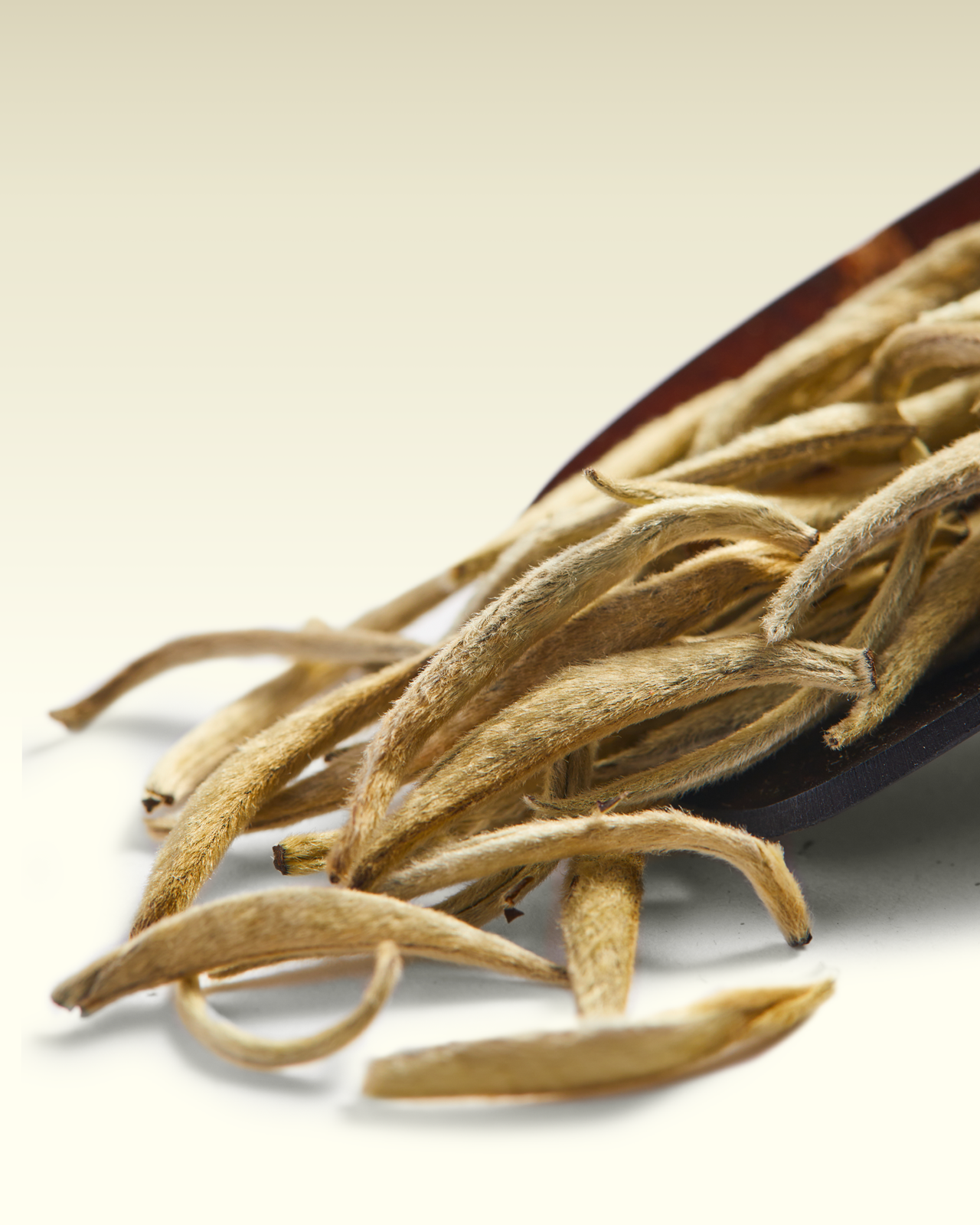 Secret Needles | TWG Tea