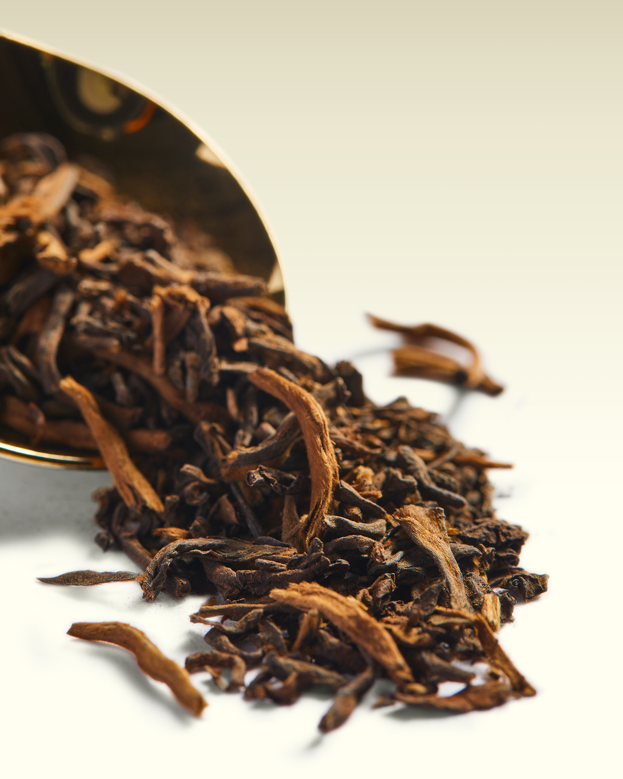 Golden Pu-Erh | TWG Tea