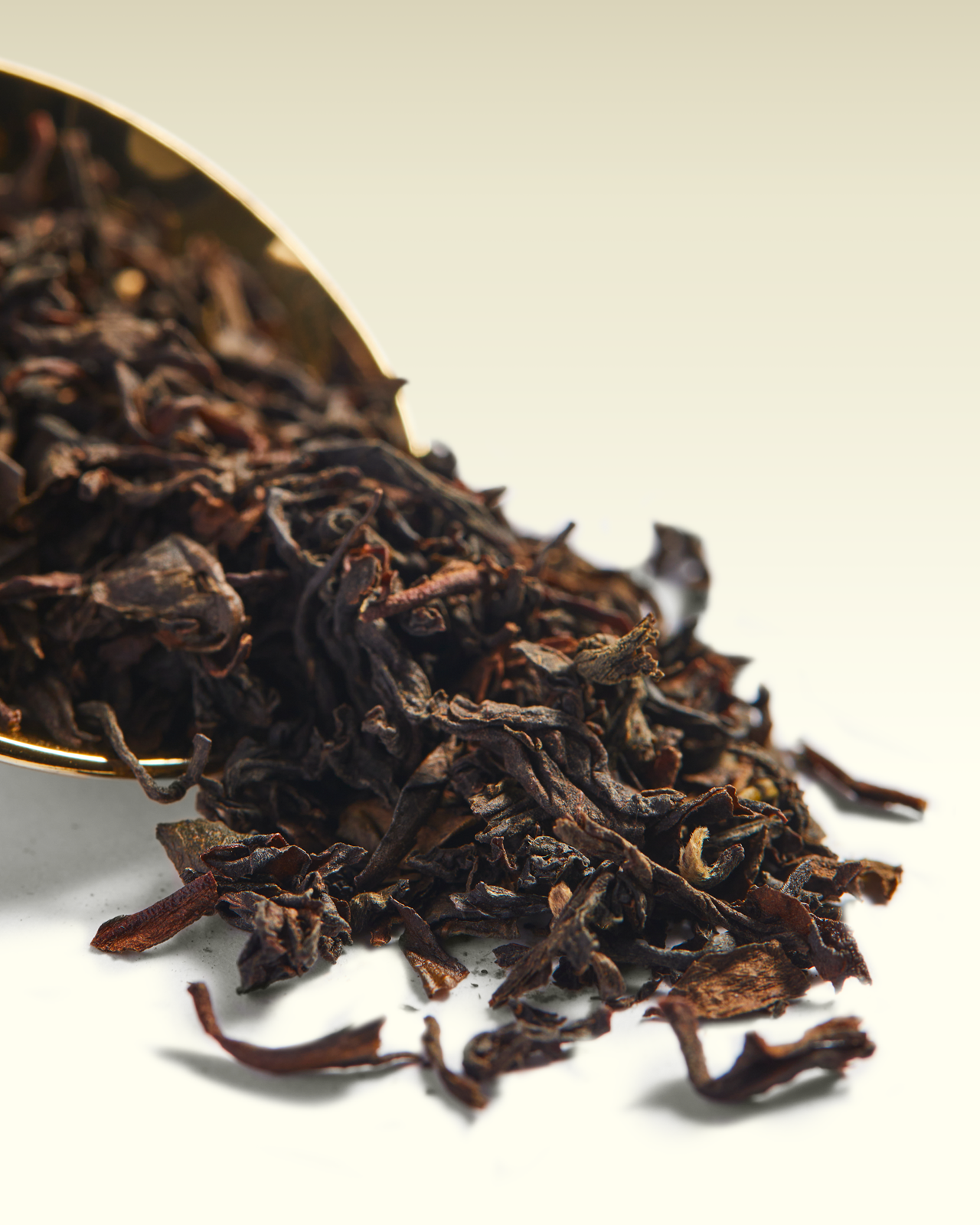 Sungma FTGFOP1 | TWG Tea