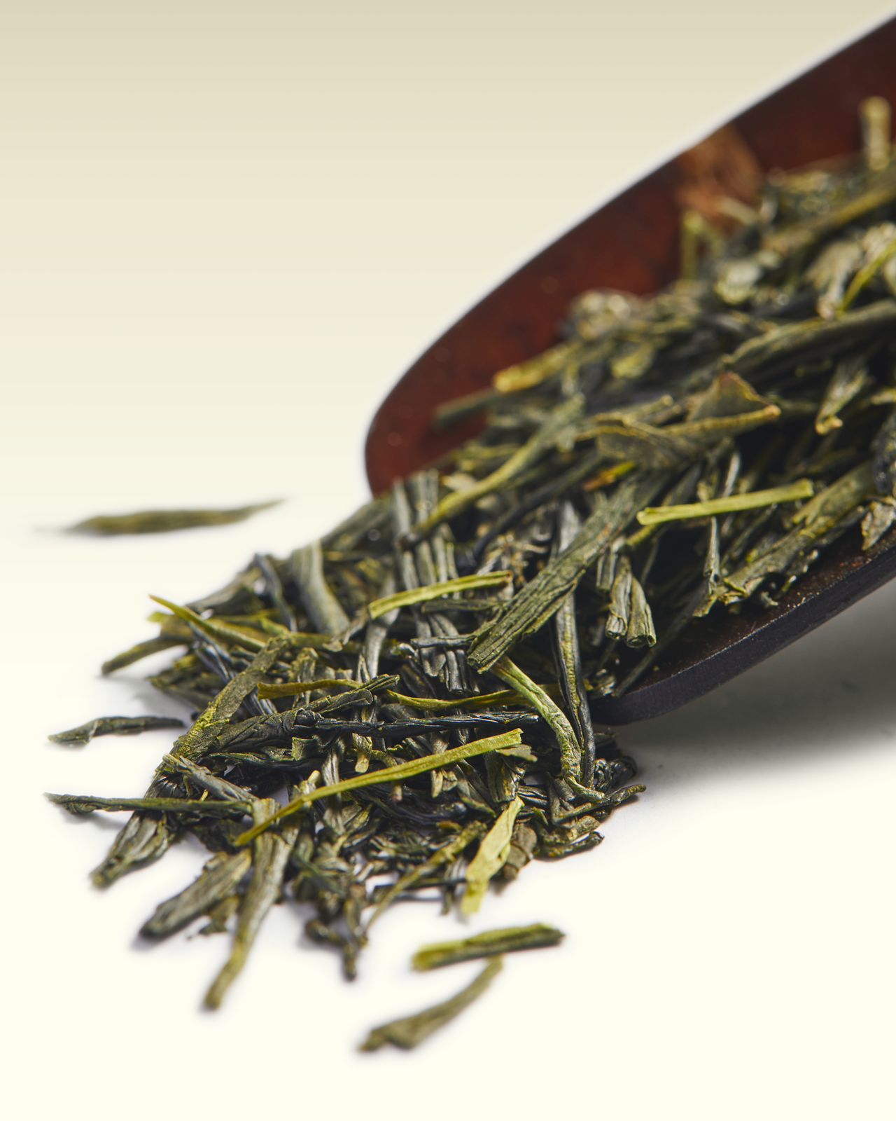 Sencha Meicha | TWG Tea