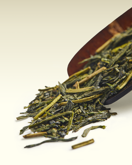 TWG キャンドル　EMPEROR SENCHA SCENTED CANDLE Emperor Sencha Scented Candle | TWG Tea