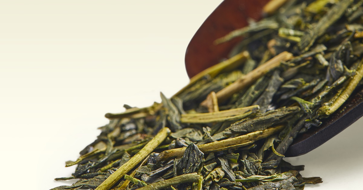 Emperor Sencha | TWG Tea