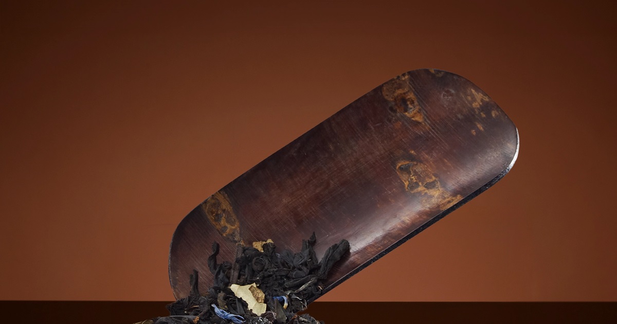 Kyoto Rectangular Tea Scoop | TWG Tea