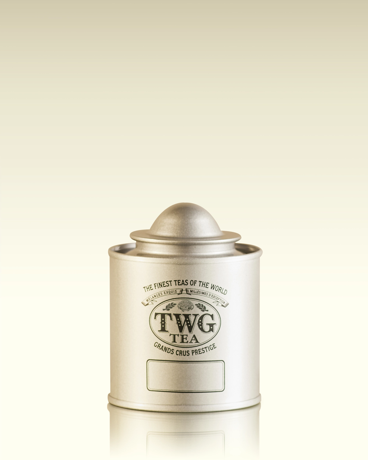 Boîte à thé Saturn argentée (50 g) | TWG Tea
