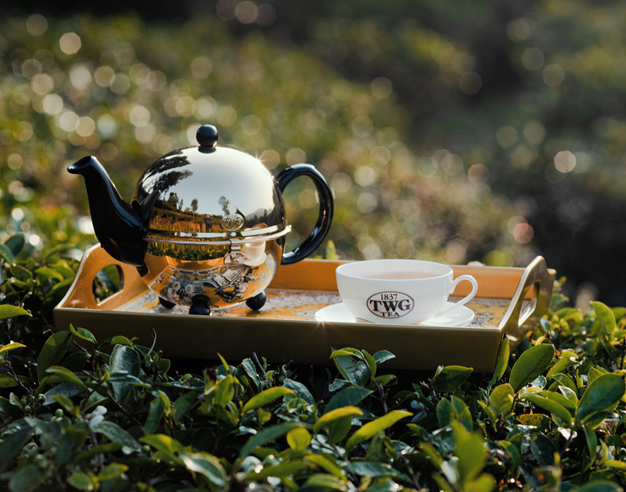 TERROIR: DISCOVER DARJEELING