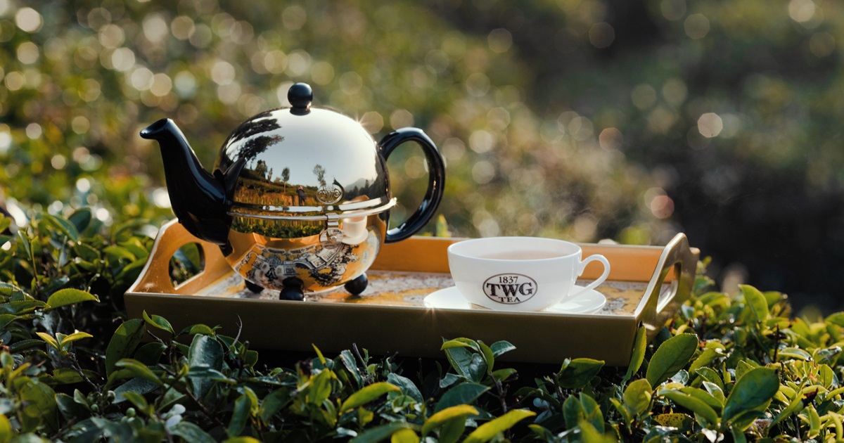 Terroir- Discover Darjeeling | TWG Tea